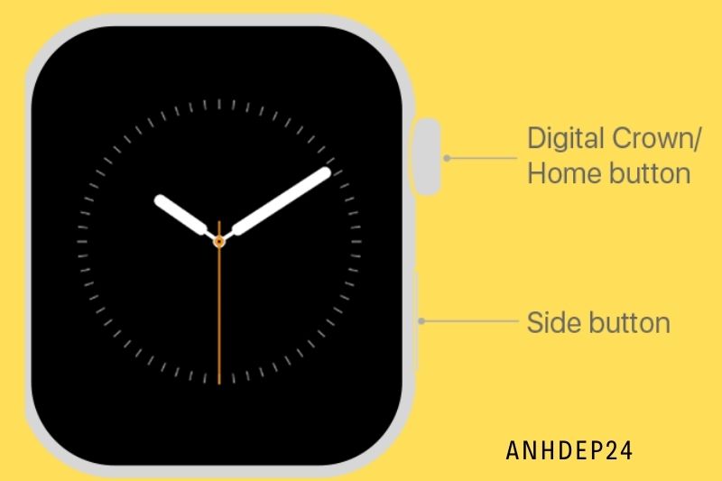 1. Press and release the side button (not the digital crown) once on your Apple Watch.